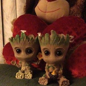 Groot planters duo